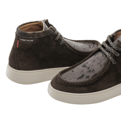 AMBITIOUS POLACCHINO 14082W 1302AM MARRONE