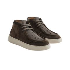 AMBITIOUS POLACCHINO 14082W 1302AM MARRONE