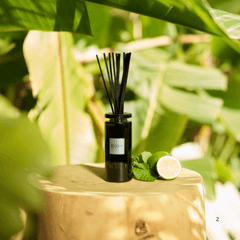 ESTEBAN PROFUMATORE CASA AMA-001 EAU D'AMAZONIE