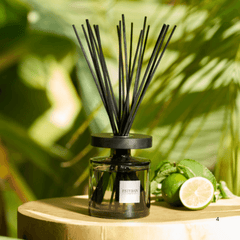 ESTEBAN PROFUMATORE CASA AMA-003 EAU D'AMAZONIE