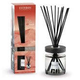 Bouquet profumato per ambienti Terre d’Ocre Karité con design elegante.