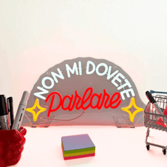 INSULTI LUMINOSI "NON MI DOVETE PARLARE"