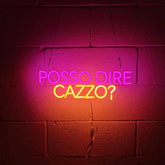 INSULTI LUMINOSI "POSSO DIRE CAZZO?"