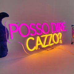 INSULTI LUMINOSI "POSSO DIRE CAZZO?"