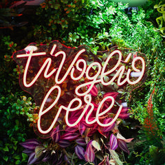 INSULTI LUMINOSI "TI VOGLIO BERE"