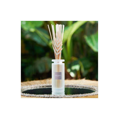 ESTEBAN PROFUMATORE CASA BCM-019 CITRONELLA E MENTA