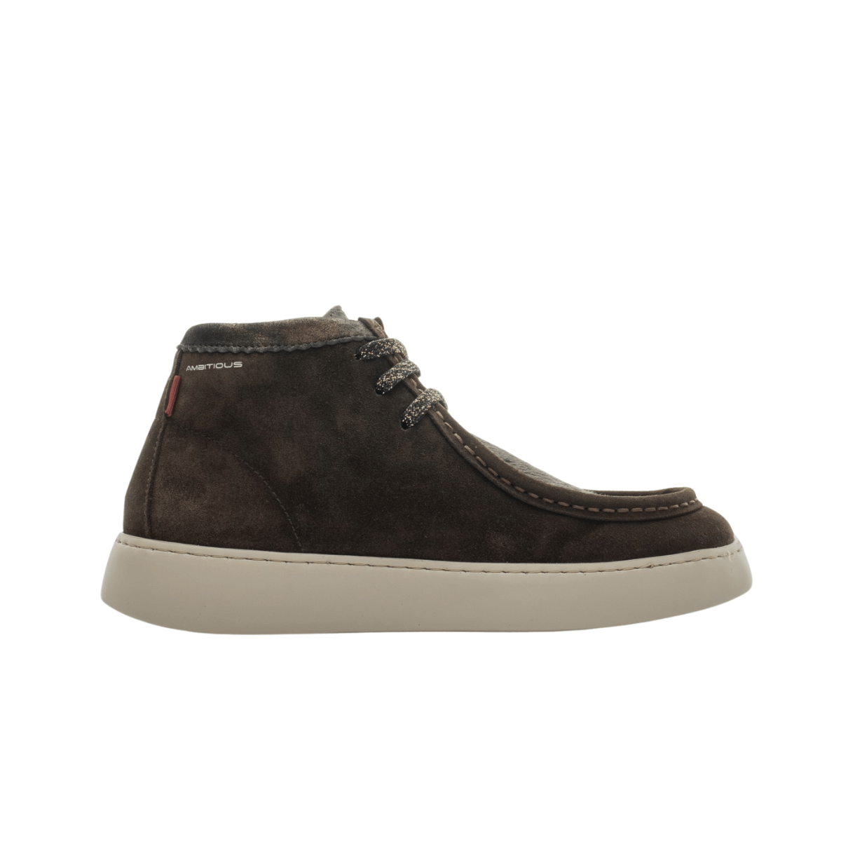AMBITIOUS POLACCHINO 14082W 1302AM MARRONE