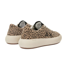 SUN68 SNEAKER Z44231-7711 LEOPARDATO