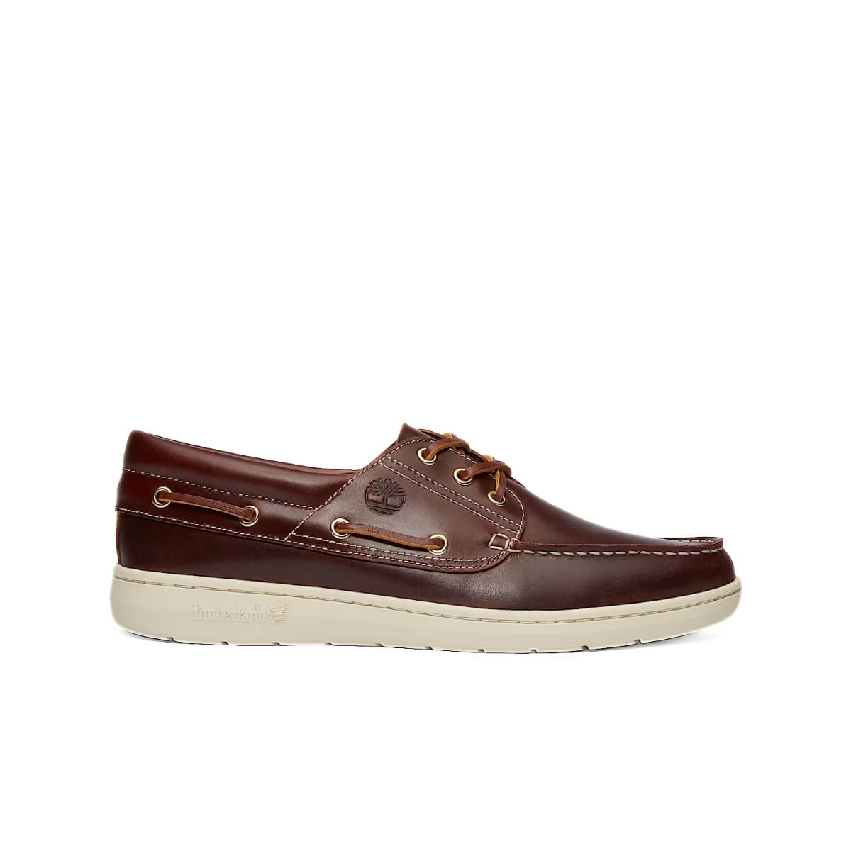 TIMBERLAND BARCA A6CXM EW1 BORDEAUX