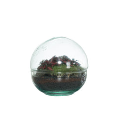 terraviva-design-nano-garden-biosfera-xs
